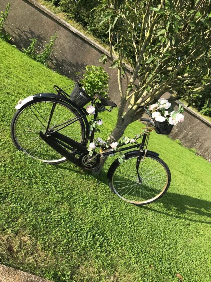 Laithreach Briuin B&B W23E0H9 Maynooth Kültér fotó